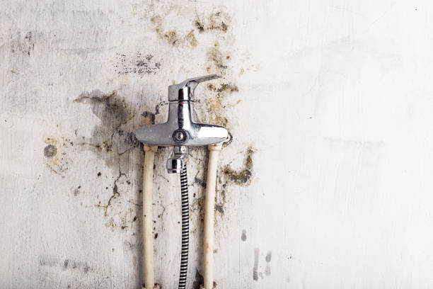 Best Bathroom Mold Remediation in Aberdeen, OH