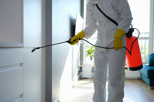 Best Kitchen Mold Remediation in Aberdeen, OH
